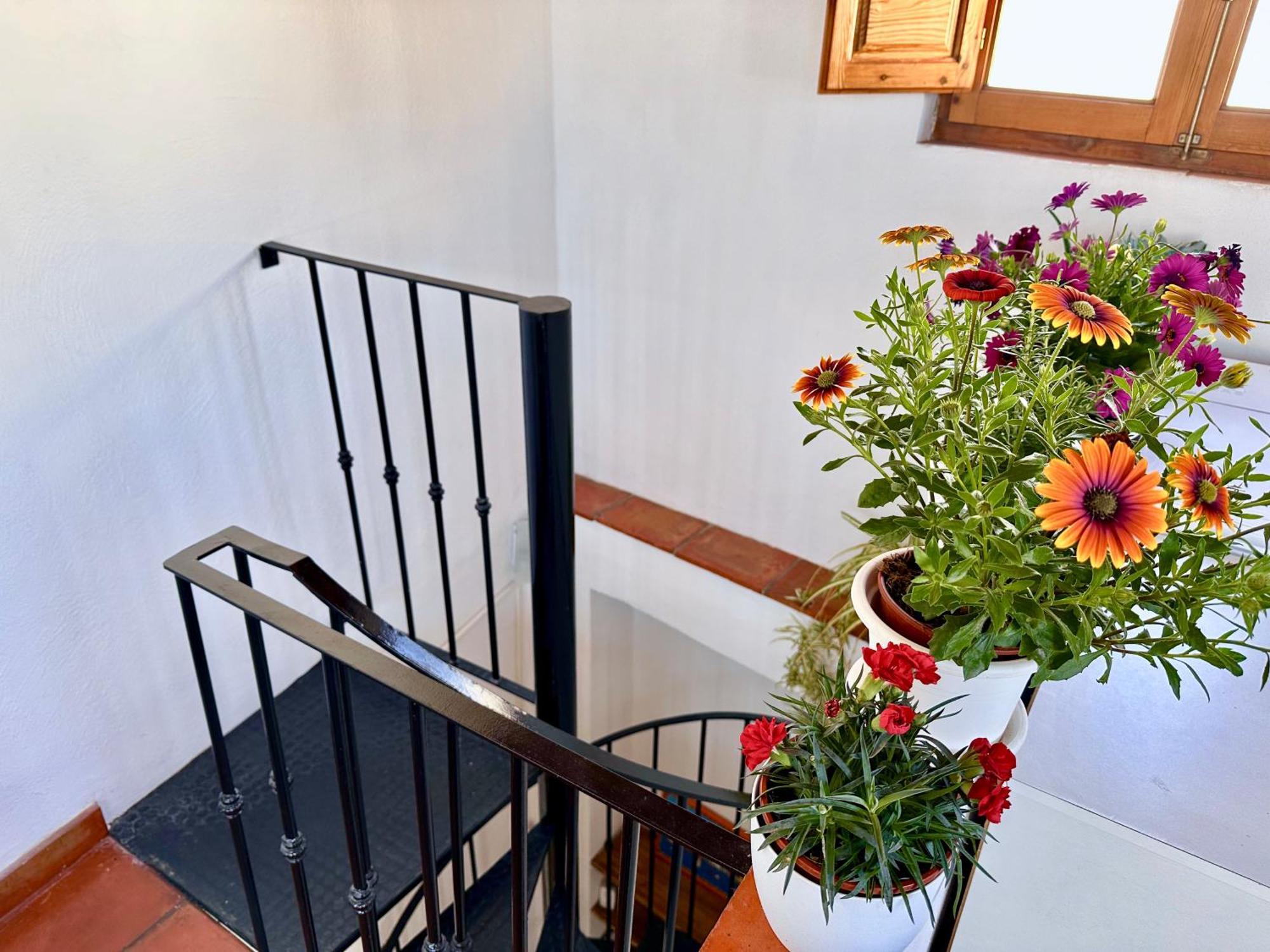 Casa Alfar Con Terrazas Unicas En El Casco Antiguo Hotell Salobreña Eksteriør bilde